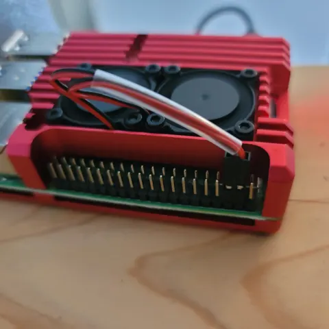 rasberry