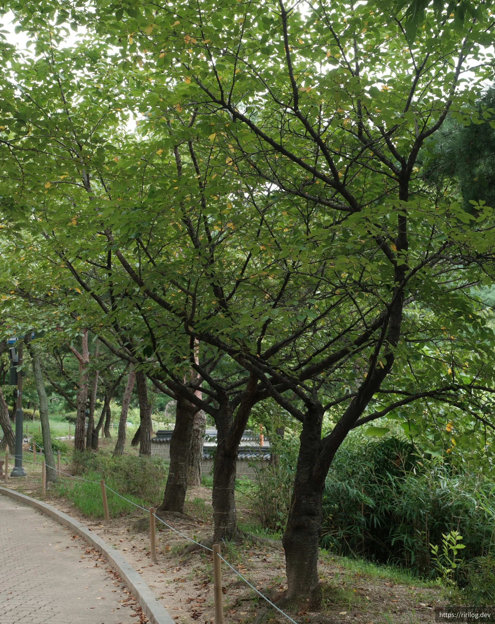 남산한옥마을