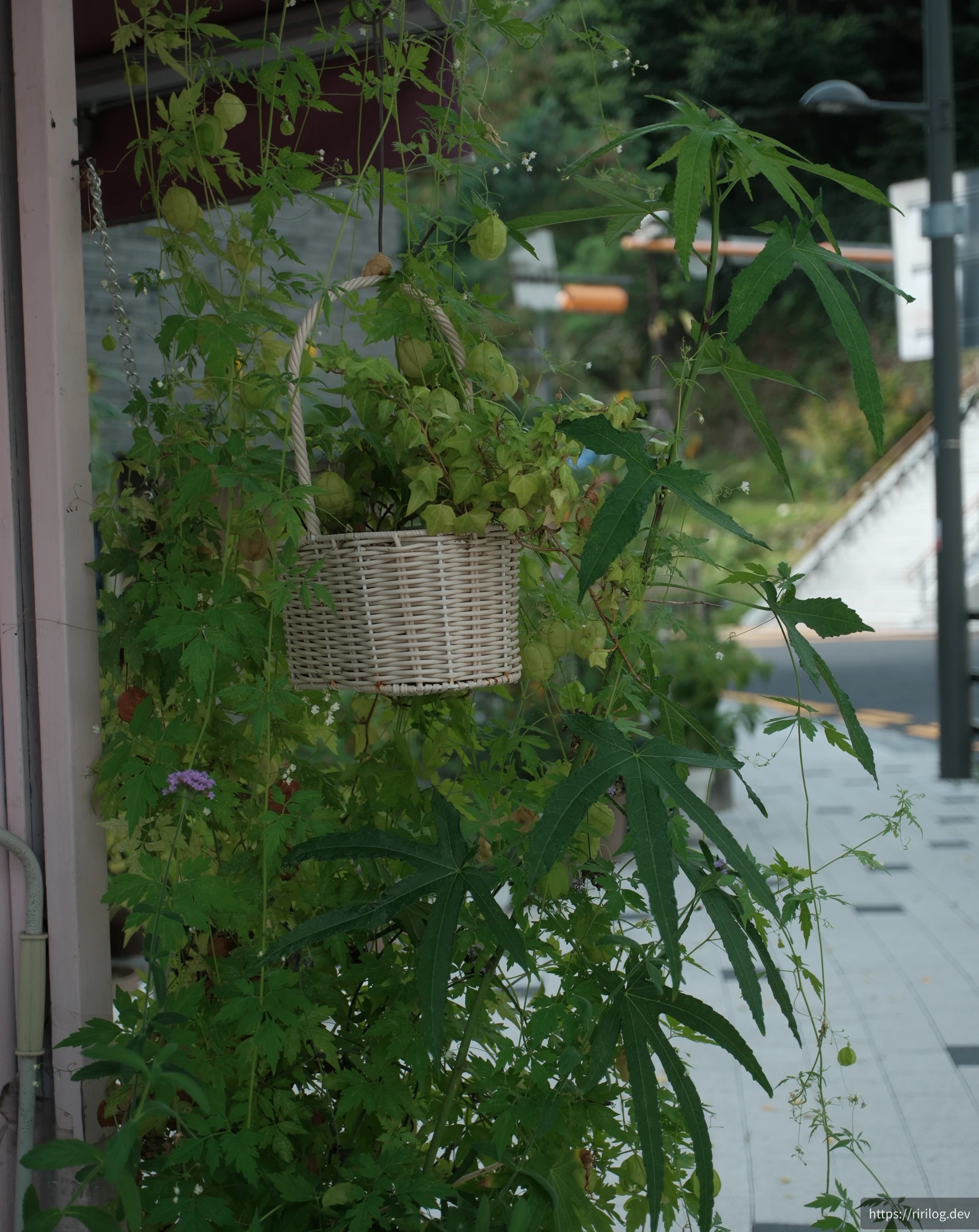 후암동(남산)