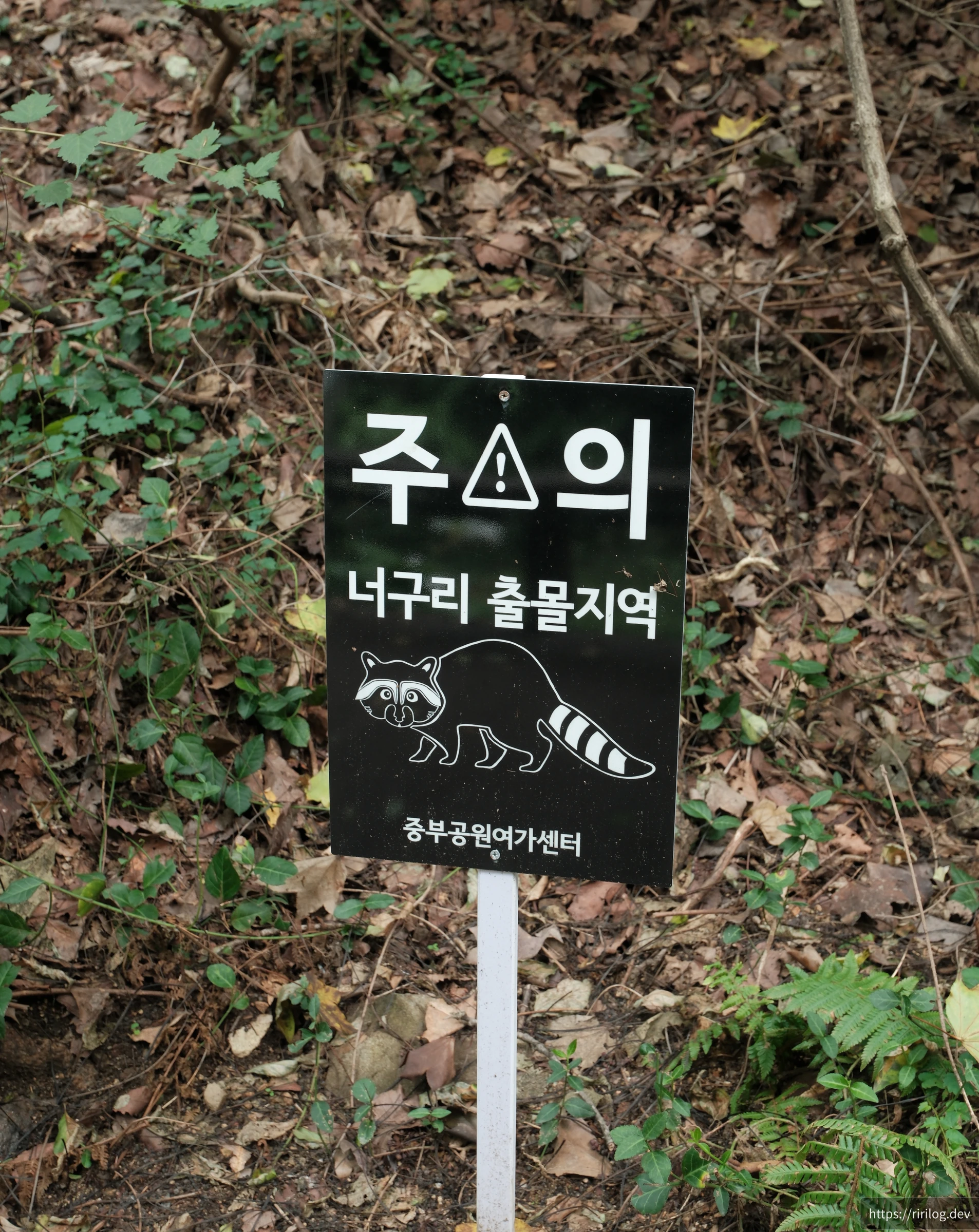 남산