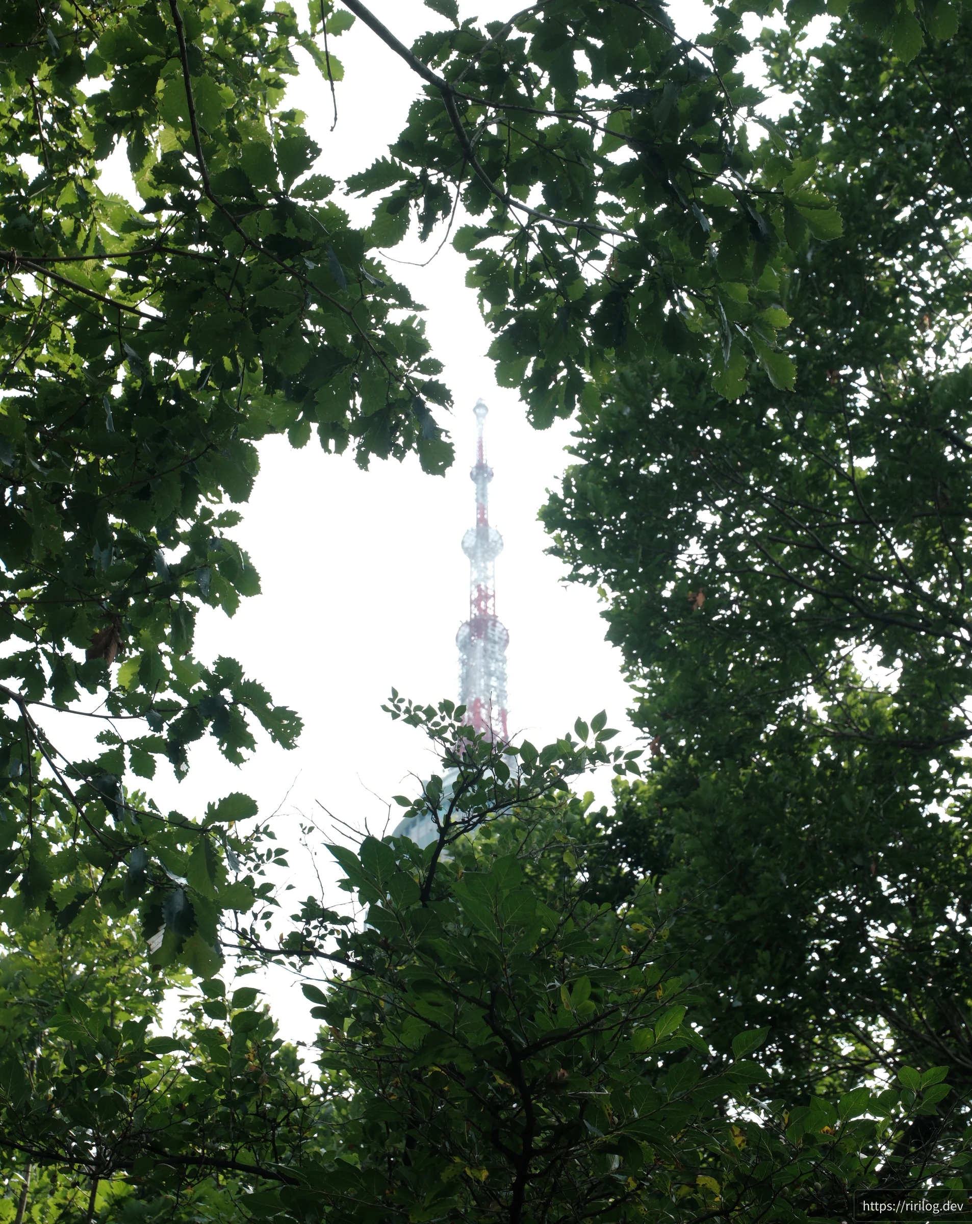 남산