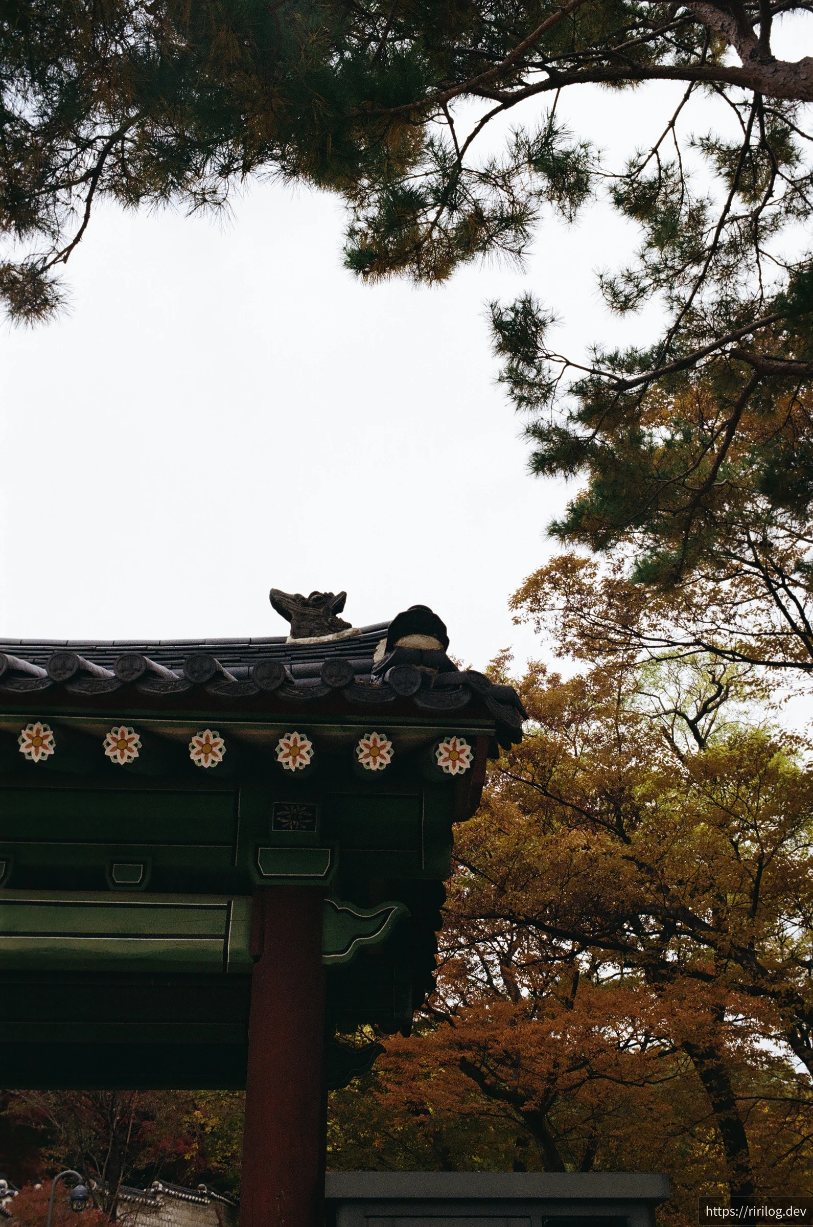 창덕궁